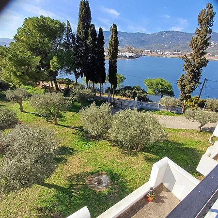 Skiathos Lagoterra Apartments Kültér fotó